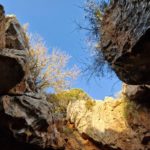 Des Corbières à la plaine du Roussillon